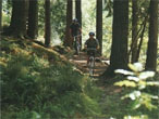Cycling at Coed y Brenin