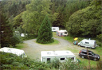 Nyth Robin, Frongoch