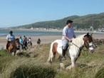 Pony trekking at Bwlch Gwyn, Fairbourne