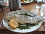 Locally-caught fresh sea bass at the Seabreeze restaurant